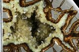Crystal Filled Septarian Geode Bookends - Utah #184586-1
